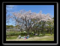 004 Osaka le chateau